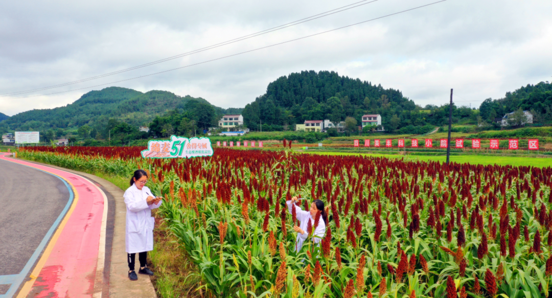 中央一号文件首提科技小院：ag真人国际官网在西南地区已建立五所