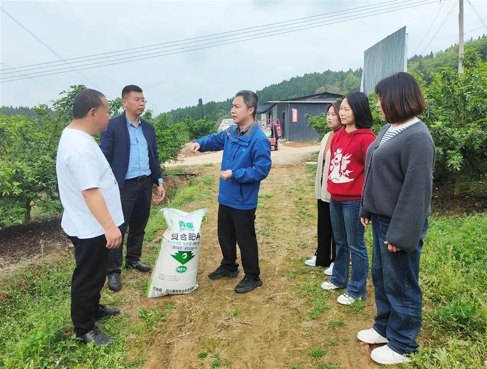 旌阳融媒：爱心化肥送上门 助力生产暖人心