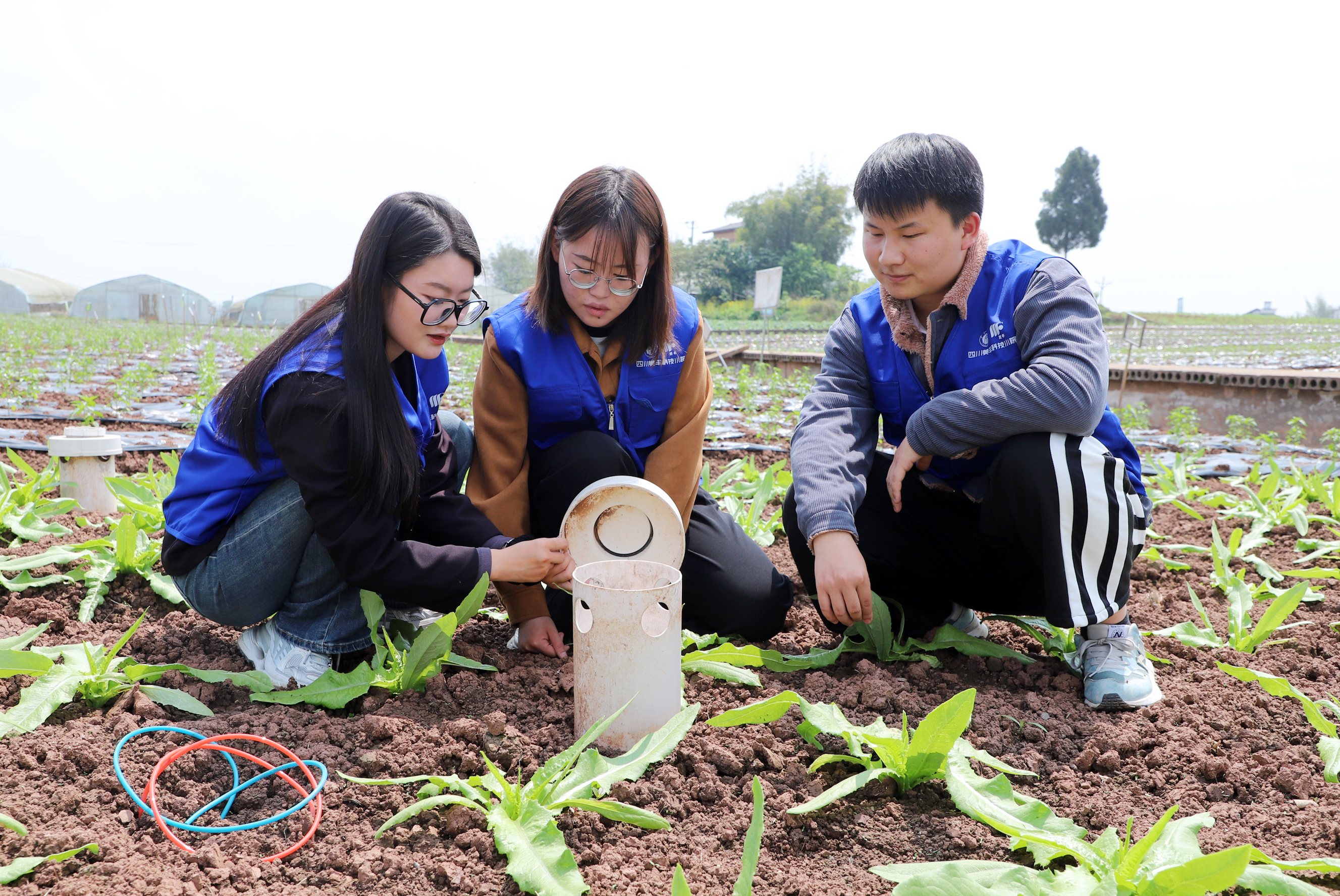 中国农资：ag真人国际官网建成5所科技小院