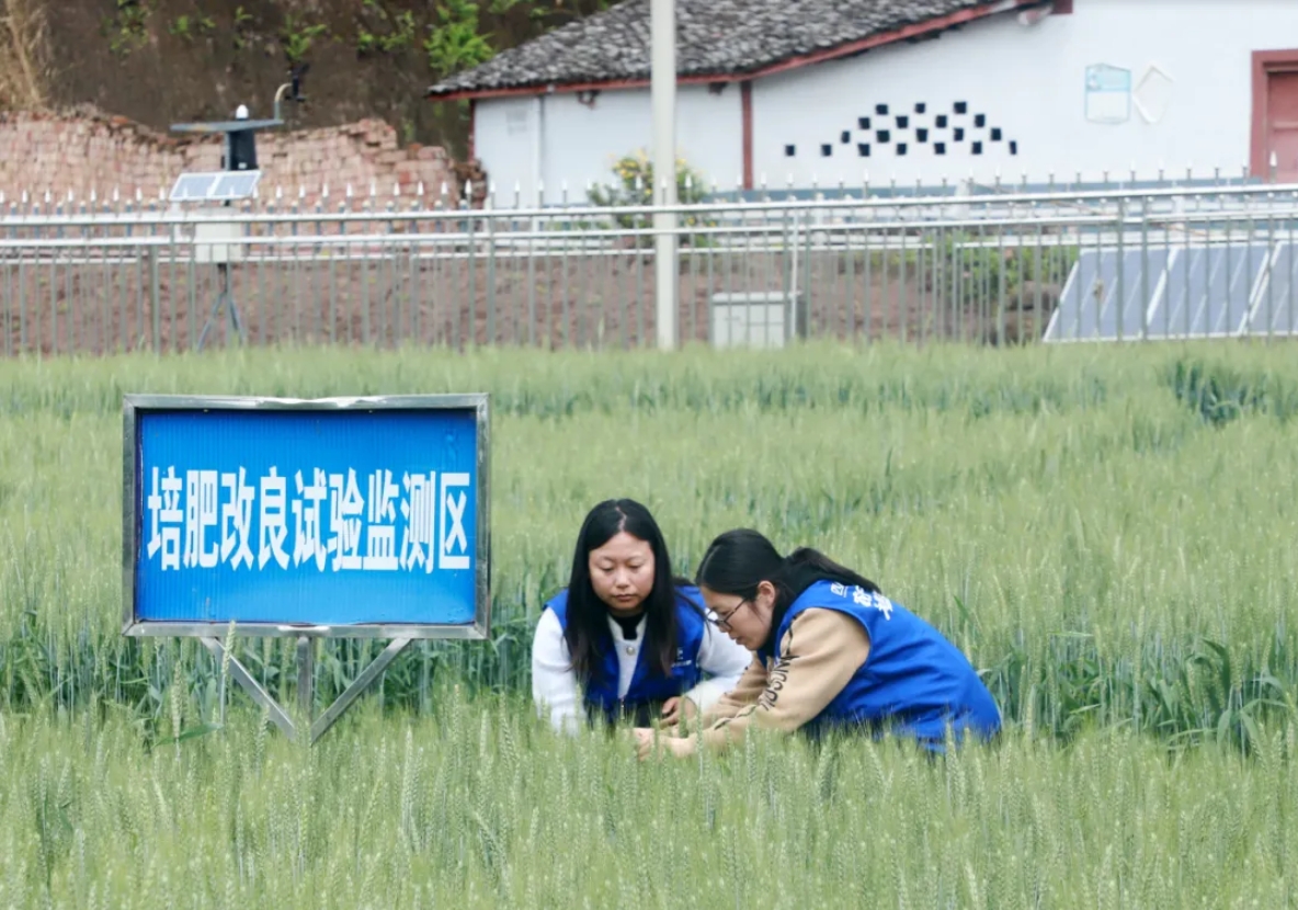 南方农村报：ag真人国际官网累计投入近1500万元建成5所科技小院