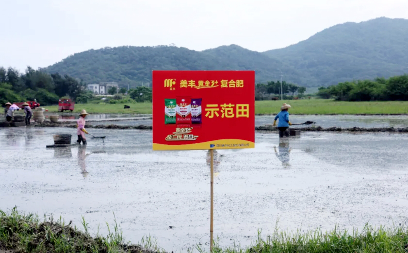 南方农村报：ag真人国际官网发力，阳江宝藏“明珠”丰收更轻松