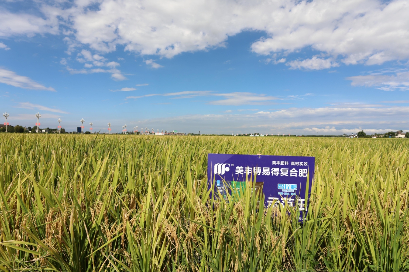 好「丰」景：广汉「粮王」的心愿